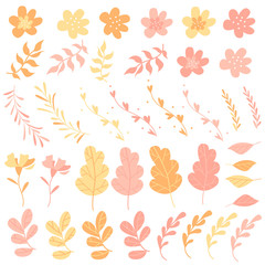 Set of plants and flowers for creating compositions, constructor, template, flat style