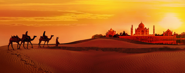 Camel caravan going through the desert.Taj Mahal during sunset