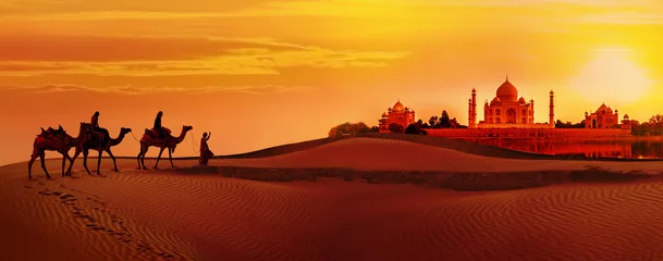 Fototapete Indien Kamelkarawane, die durch die Wüste geht.Taj Mahal während des Sonnenuntergangs
