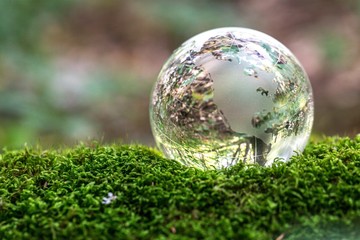 Glass Globe on Grass