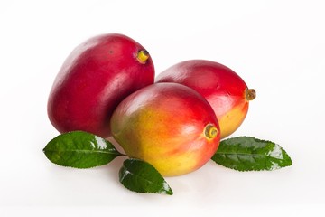 Glossy mangos and leaves