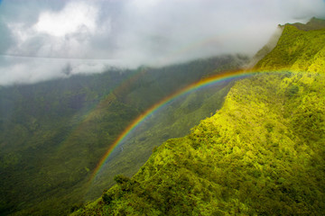 Rainbow over Jungle