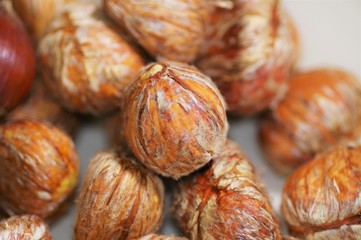 鬼皮を剥いている最中の栗