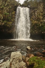 Aberdares national park © Charl