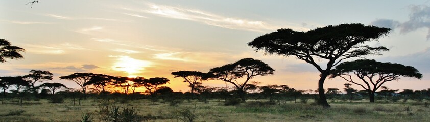 Serengeti sunset