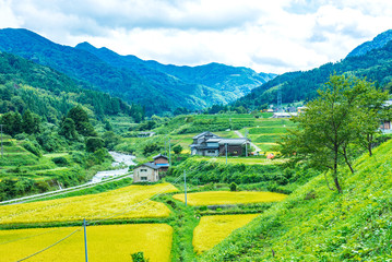兵庫北・渓谷の集落の秋 © kikumoto kenjiro