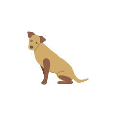 Dog flat vector icon