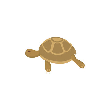 Turtle flat vector icon