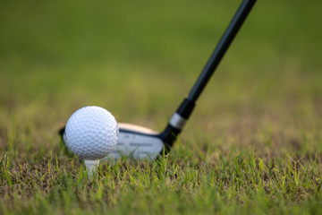 Three metal wood at rest behind teed-up golf ball providing  copy space for text or graphics.