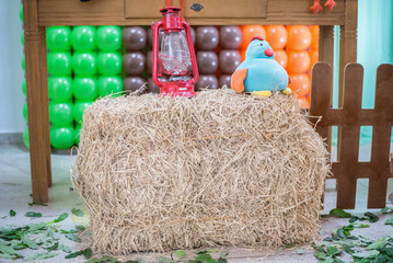 Birthday table decorated farm theme
