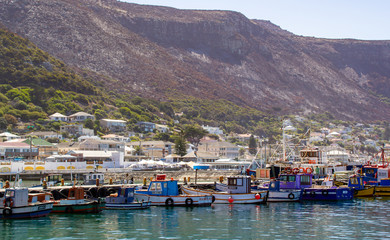 boats in the bay