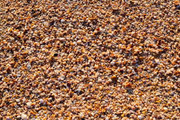 travel trip tourism leisure. seaside summer holiday vacation destination. golden sand and sea shell beach.