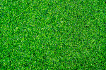 Green grass texture background