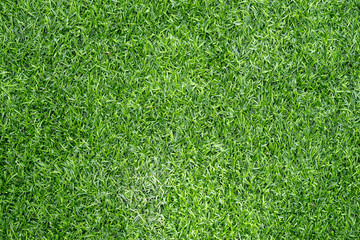 Fototapeta premium Green fake grass substitute for grass, but durable and long.