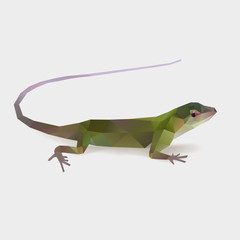 Fototapeta premium Lizard reptile Polygonal vector illustration