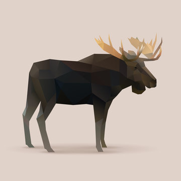 moose male Polygon vector illustration
