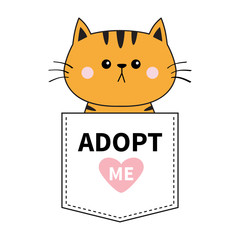 Orange cat sitting in the pocket. Adopt me. Pink heart. Cute cartoon animals. Kitten kitty character. Dash line. Pet animal collection. T-shirt design. Baby background. Isolated. Flat design