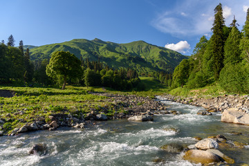 Fast mountain river in the mountains of Abkhazia, Georgia. Alpine meadows in the mountains