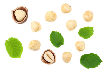 hazelnuts with leaves isolated on white background. top view