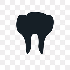 molar tooth icon on transparent background. Modern icons vector illustration. Trendy molar tooth icons