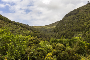 Cloudy day over the mountains in New Zealand