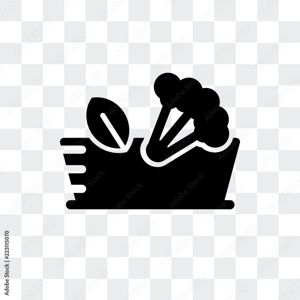 Poster salad icon isolated on transparent background. modern and editable salad icon. simple icons vector i