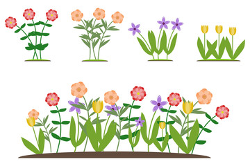 Flowers, a set of various flowers. Flat design, vector illustration, vector.
