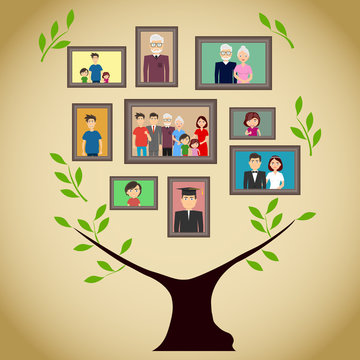 Family tree with portraits of family members. A real family tree with photos. Flat design, vector illustration, vector.