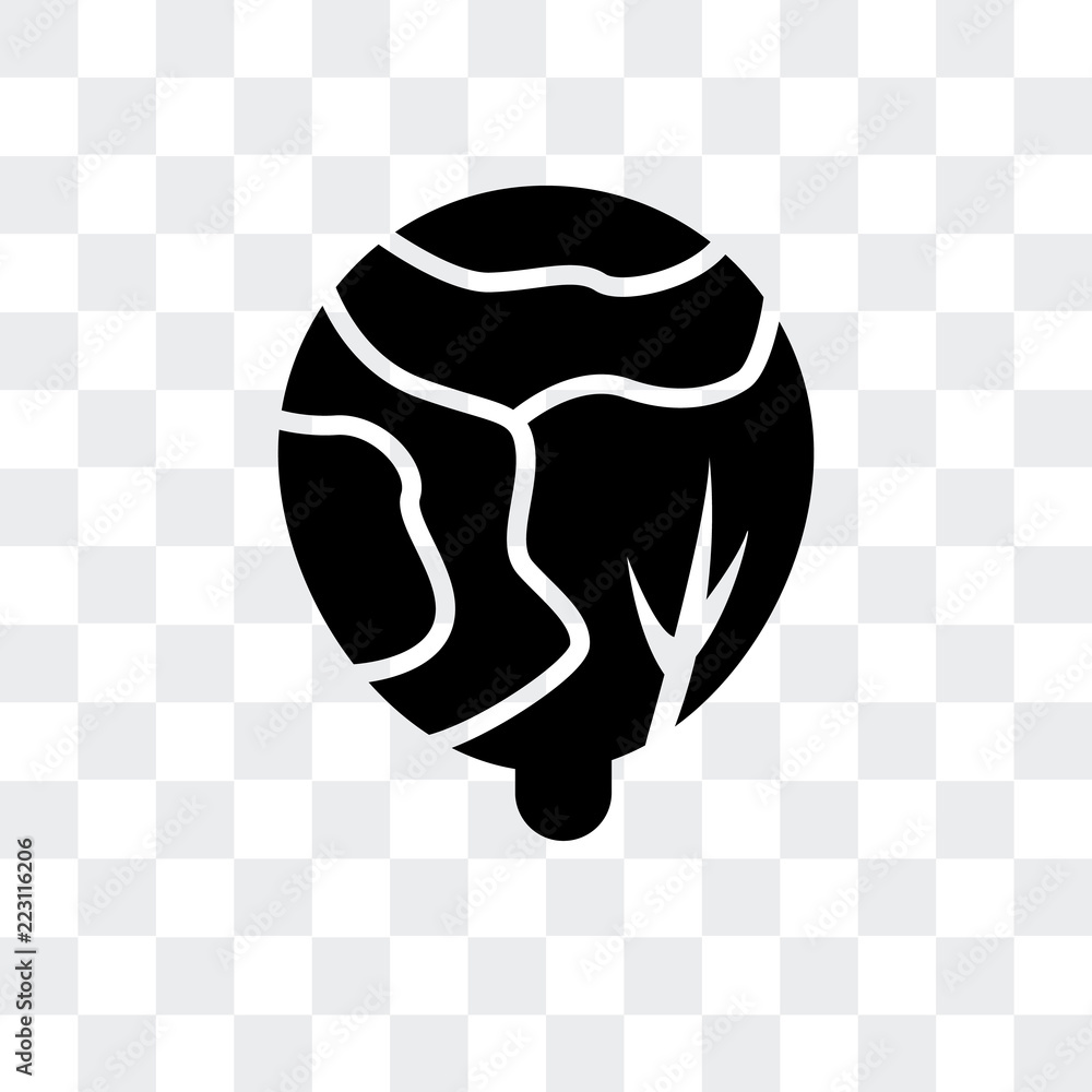 Poster cabbage icon isolated on transparent background. modern and editable cabbage icon. simple icons vect