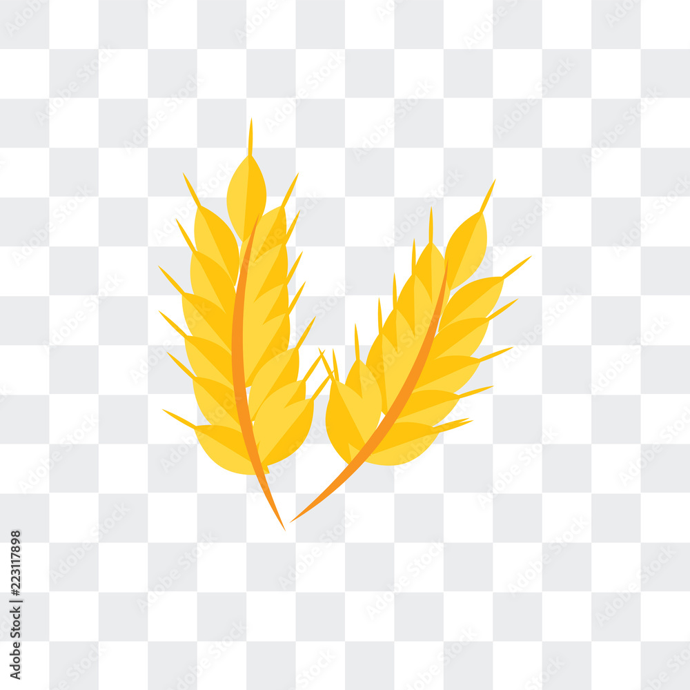 Poster wheat icon isolated on transparent background. modern and editable wheat icon. simple icons vector i