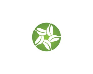 Leaf Logo Template