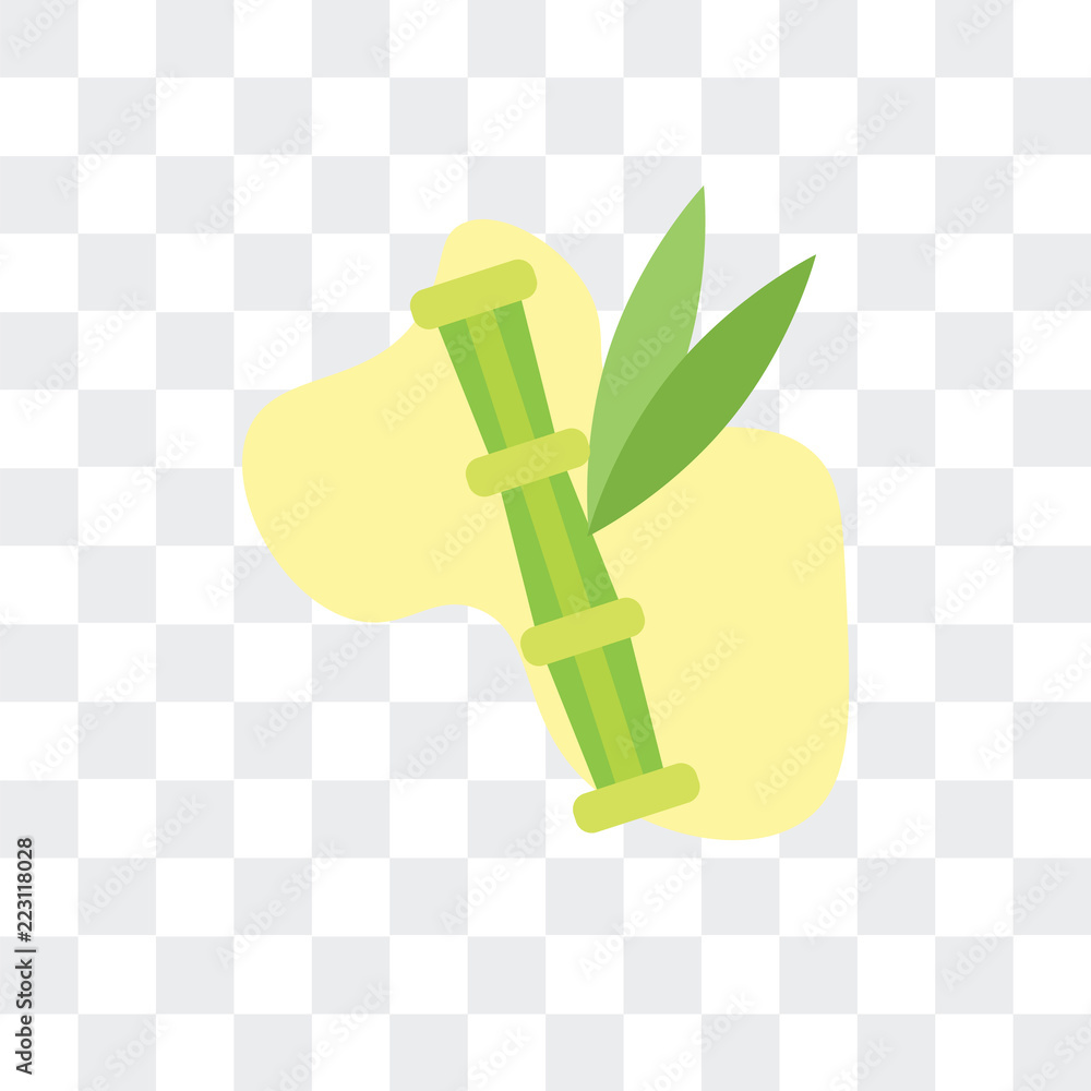 Poster bamboo icon isolated on transparent background. modern and editable bamboo icon. simple icons vector