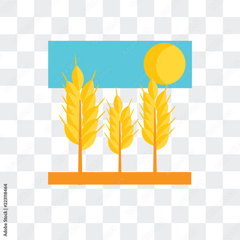 Poster wheat icon isolated on transparent background. modern and editable wheat icon. simple icons vector i