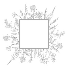  Vector frame with hand drawn wild herbs and flowers.