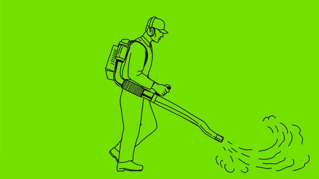 2d Animation motion graphics showing a gardener with leaf blower or blower vac walking side view on white screen, green screen with alpha matte in  HD high definition.