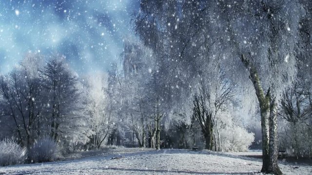 Winter Background And Falling Snow Animation