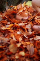 Portrait eines netten jungen reizenden Mädchens bedeckt mit roten und orangenen herbstlichen Blättern. Schönes sexy Mädchen, auf Herbstlaub, Gesicht einer Jungen Frau unter rot goldenem Herbstlaub