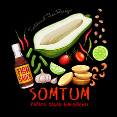 Traditional thai recipe somtum papaya salad ingredients vector illustration
