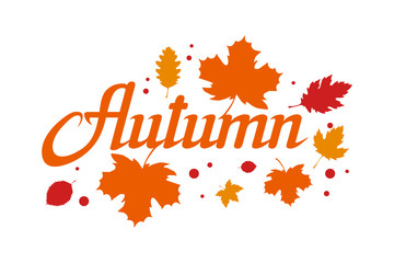 Fototapeta na wymiar hand drawn autumn lettering, colored autumn concept isolated on white background, colour illustration of autumn leaves, templates for logotype, flyer, poster, card, label, badge, banner, oktoberfest
