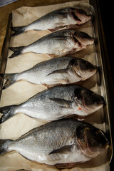 raw fish stuffed with rosemary on metal tray