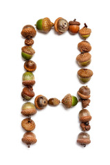 Autumn alphabet. Letter A  is made of acorns