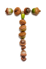 Autumn alphabet. Letter T  is made of acorns