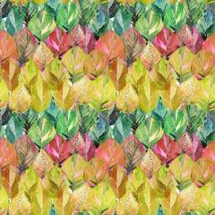 Lovely group of the autumn leaves like rainbow. Graphic bright floral herbal autumn orange yellow leaves pattern watercolor hand sketch. Perfect for textile, wallpapers, wrapping paper