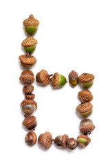 Autumn alphabet. Letter b is made of acorns