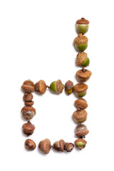 Autumn alphabet. Letter d is made of acorns