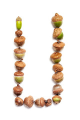 Autumn alphabet. Letter U is made of acorns