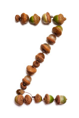Autumn alphabet. Letter Z is made of acorns