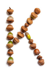 Autumn alphabet. Letter K is made of acorns