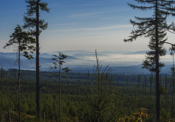 View of summer morning mountains, blue misty slopes of mountains in the distance. Tall pine trees and coniferous forest hills in fog and rays of sunlight. Travel background, tatra mountain, Slovakia