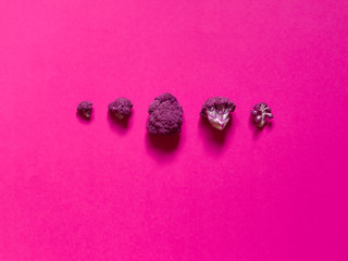 Top view of a minimalistic violet cauliflower over a pink background with copyspace.
